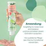 Jean & Len Green Tea & Lime fugtgivende shampoo, til normalt til fedtet hår, 300 ml Brusebad og bad Jean & Len Green Tea & Lime