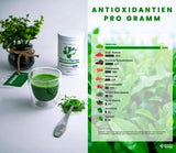 Matcha terapi 30+ | Økologisk Matcha tepulver | 60 g | Med et verificeret indhold på mindst 30 mg/g catechin EGCG | Understøtter immunsystemet og energiniveauet | Ceremoniel kvalitet | Grøn te fra Japan