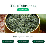 Økologisk Gyokuro japansk grøn te (100 g) | Premium bulk te | Raffineret umami smag og delikat sødme | GENPLANT