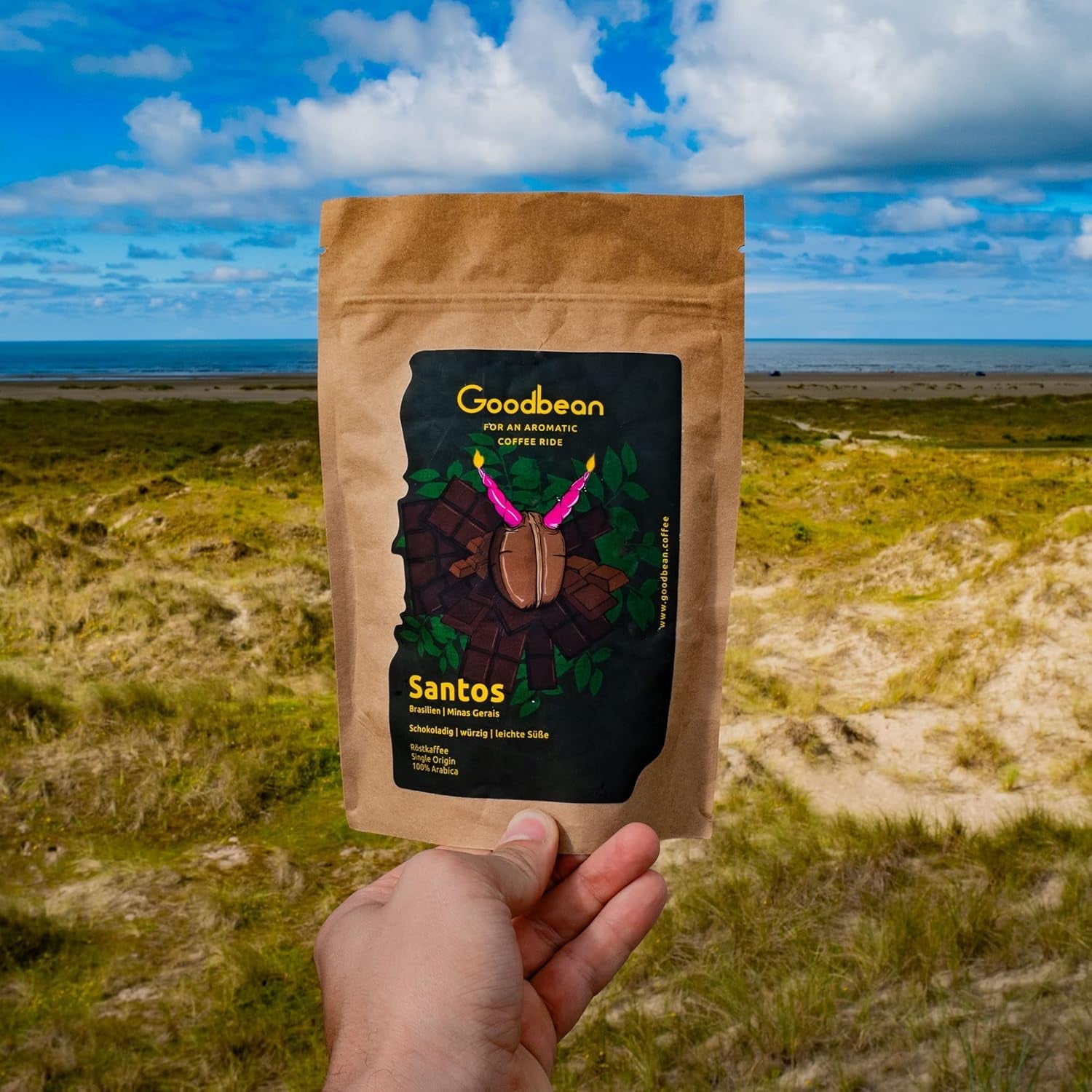 Santos | Kaffebønner 2500g - 100% Arabica fra Brasilien | til espresso, cappuccino eller stærk filtreret kaffe | Omni Stege | Klassisk kaffe - den perfekte introduktion til specialkaffe