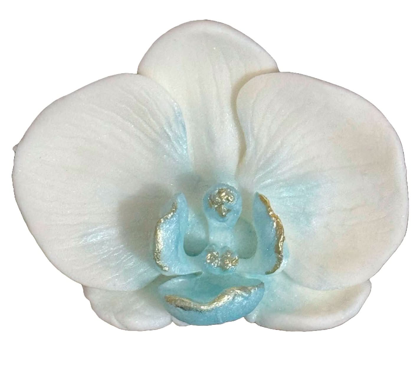 Spiselig sukkerdekoration, White Orchid Decorations fra Sugar Paste Nati Shop
