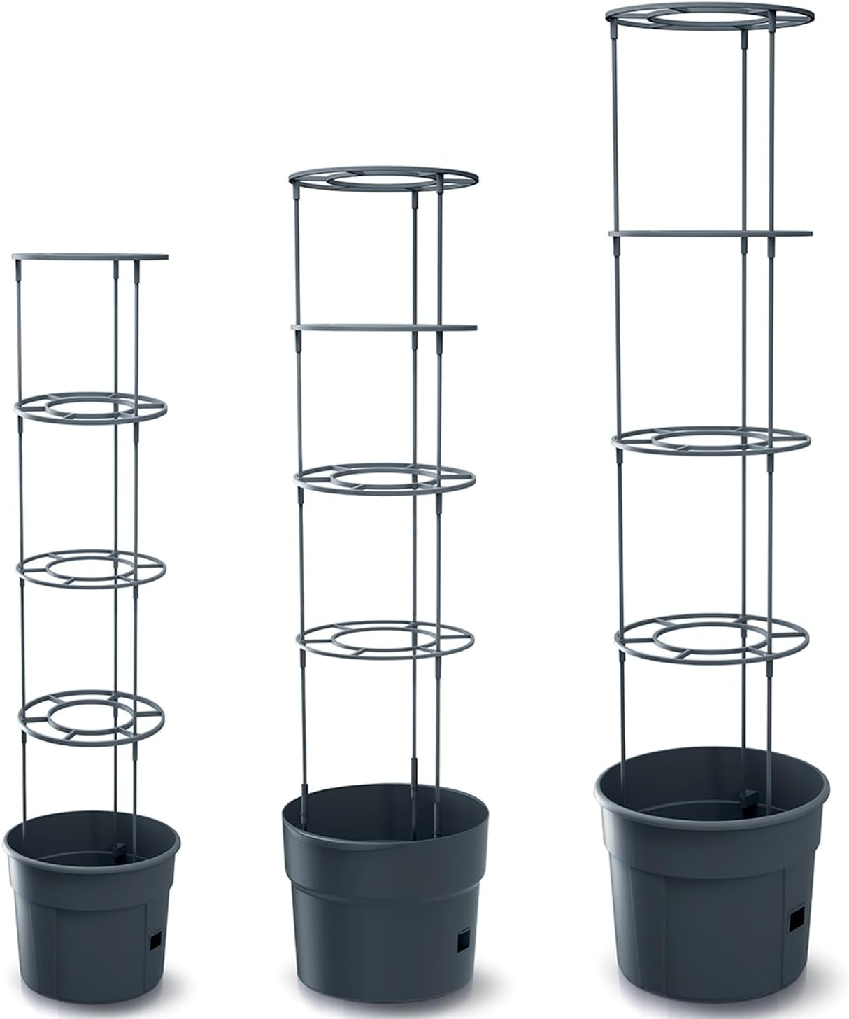 Prosperplast tomatkimplantepotter med espalier – Robust plastikpotte | Antracit | Vejr- og UV-bestandig | 29,5 x 115,2 cm | Ideel til haven og terrassen