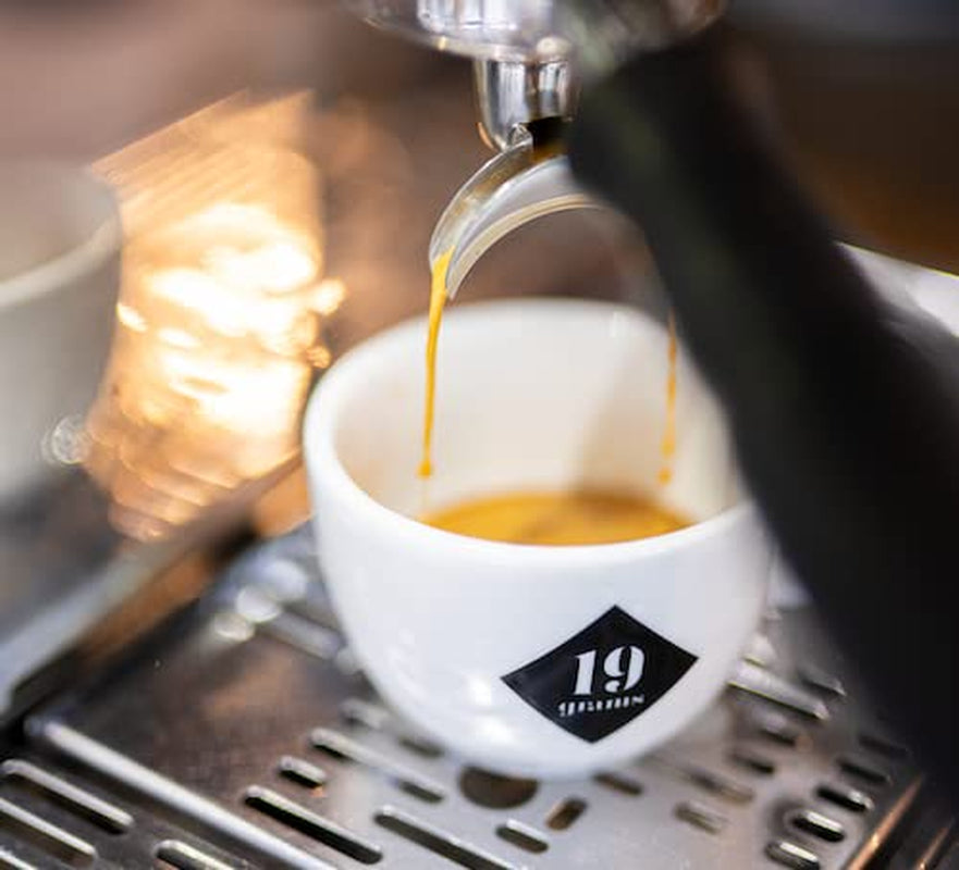 Wild At Heart Espresso | 250g Bohnen gås fair & bæredygtig | frisch geröstet | 100% Arabica Kaffeebohnen | specialkaffe | 19 gram Kaffeerösterei