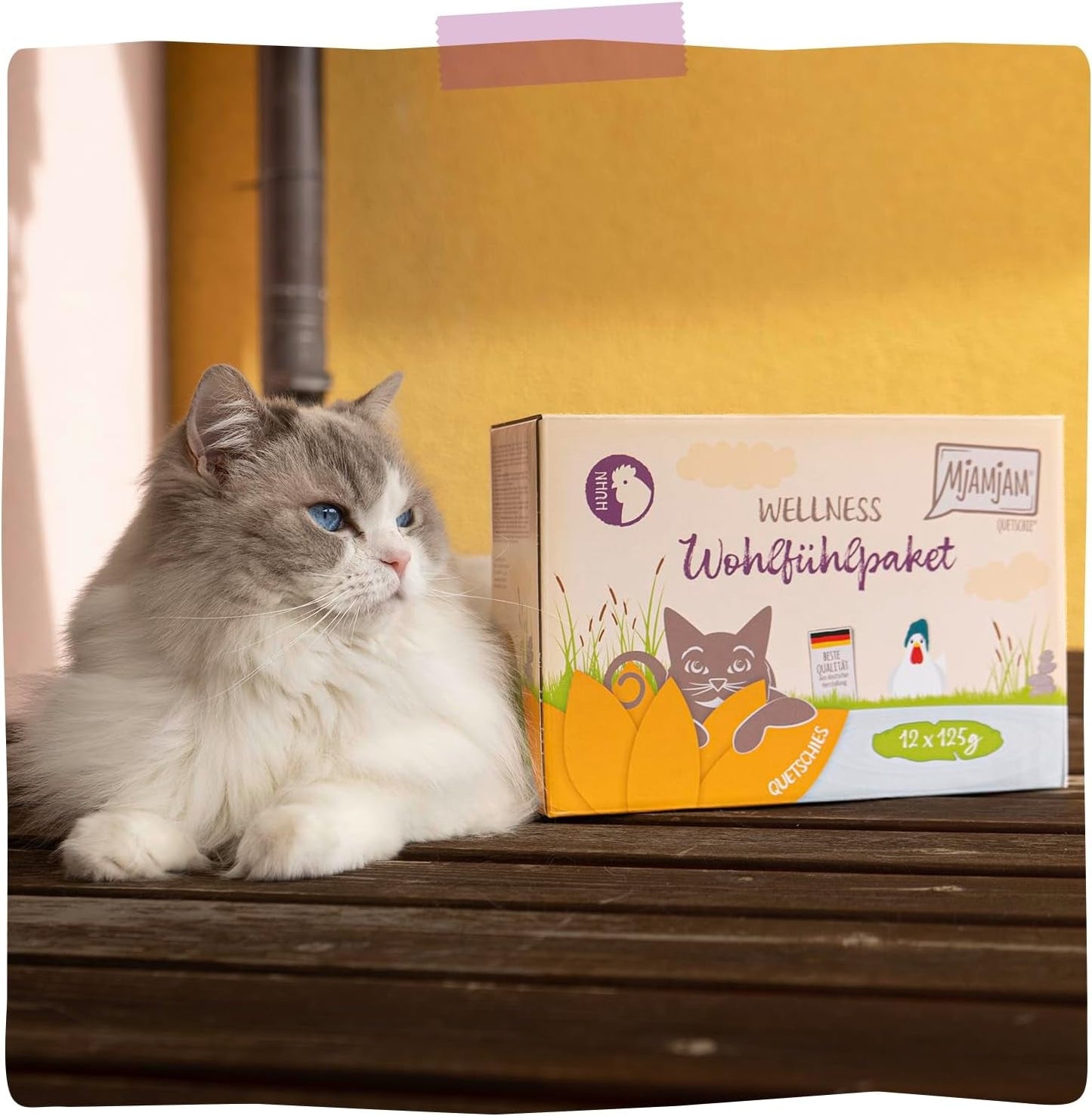 MjAMjAM - Premium våd kattefoder - Kylling Wellness Pack 12 Pack (12 x 125 g) Kornfri med ekstra kød