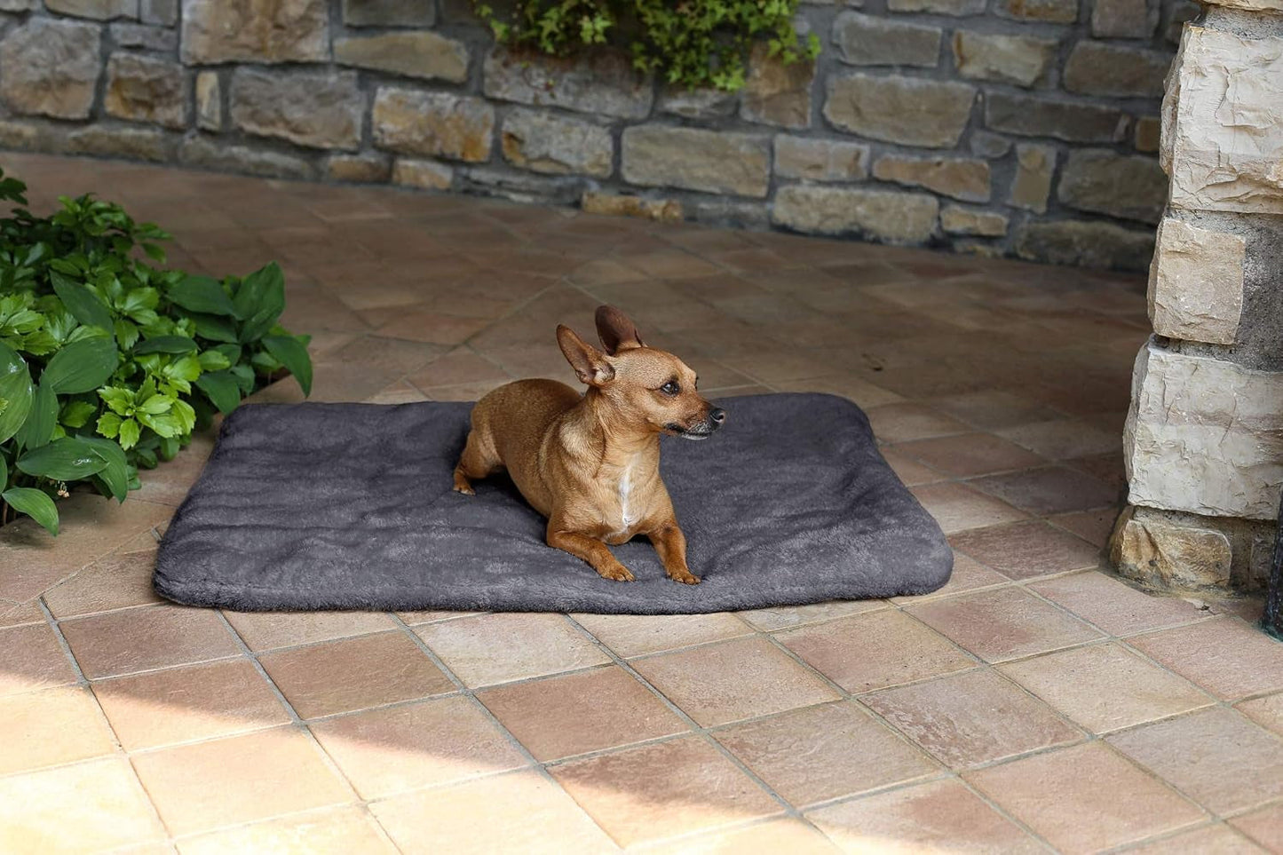 Sogni E Capricci Super Soft Mat, Creme, 104X75CM, Polyester, Dyner og dyner Naty Shop Grå 62X50Cm