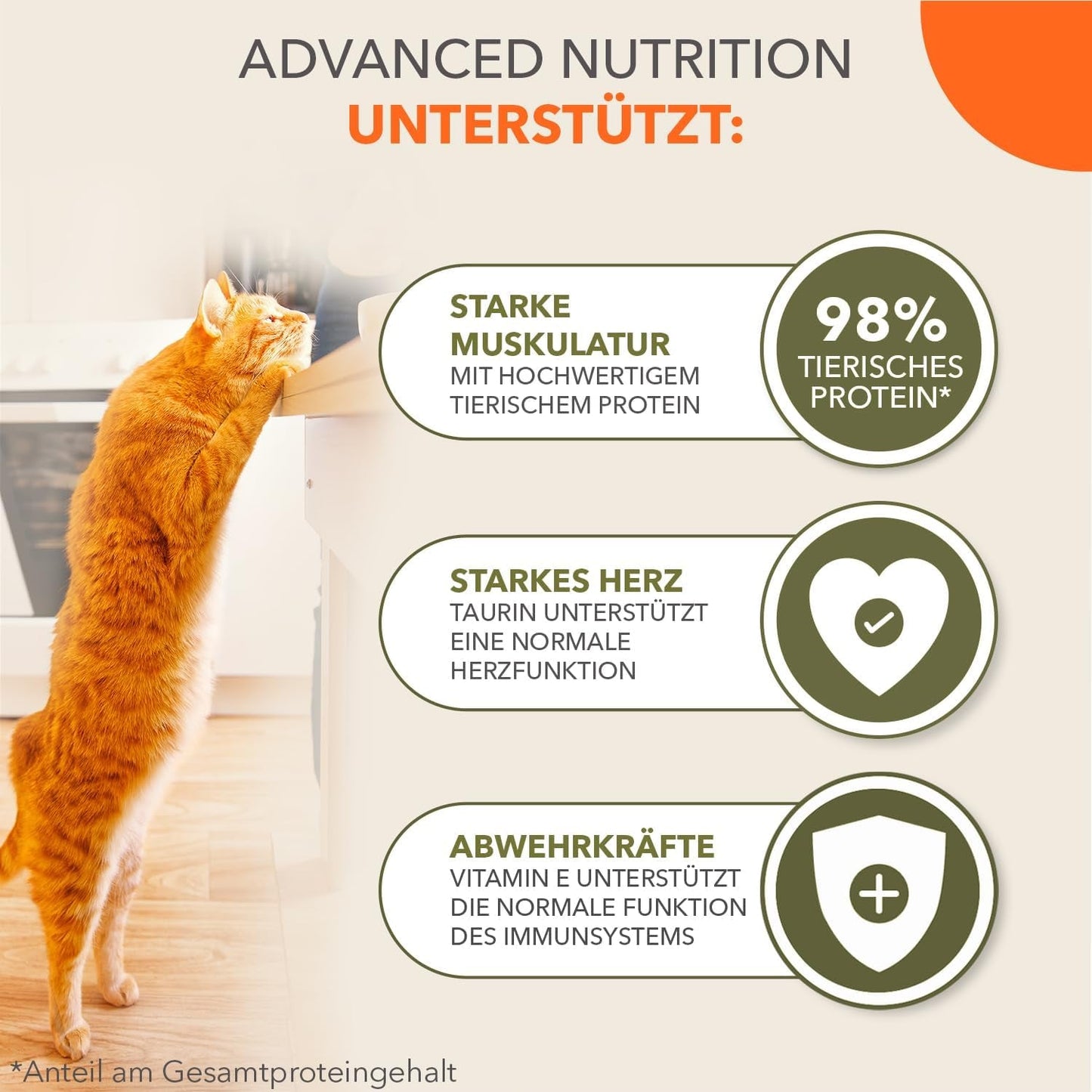 IAMS Delights Land Collection Kornfrit våd kattefoder - Kødsortspakke Multipack Kornfrit vådfoder til katte 1 år og derover 12 x 85 g
