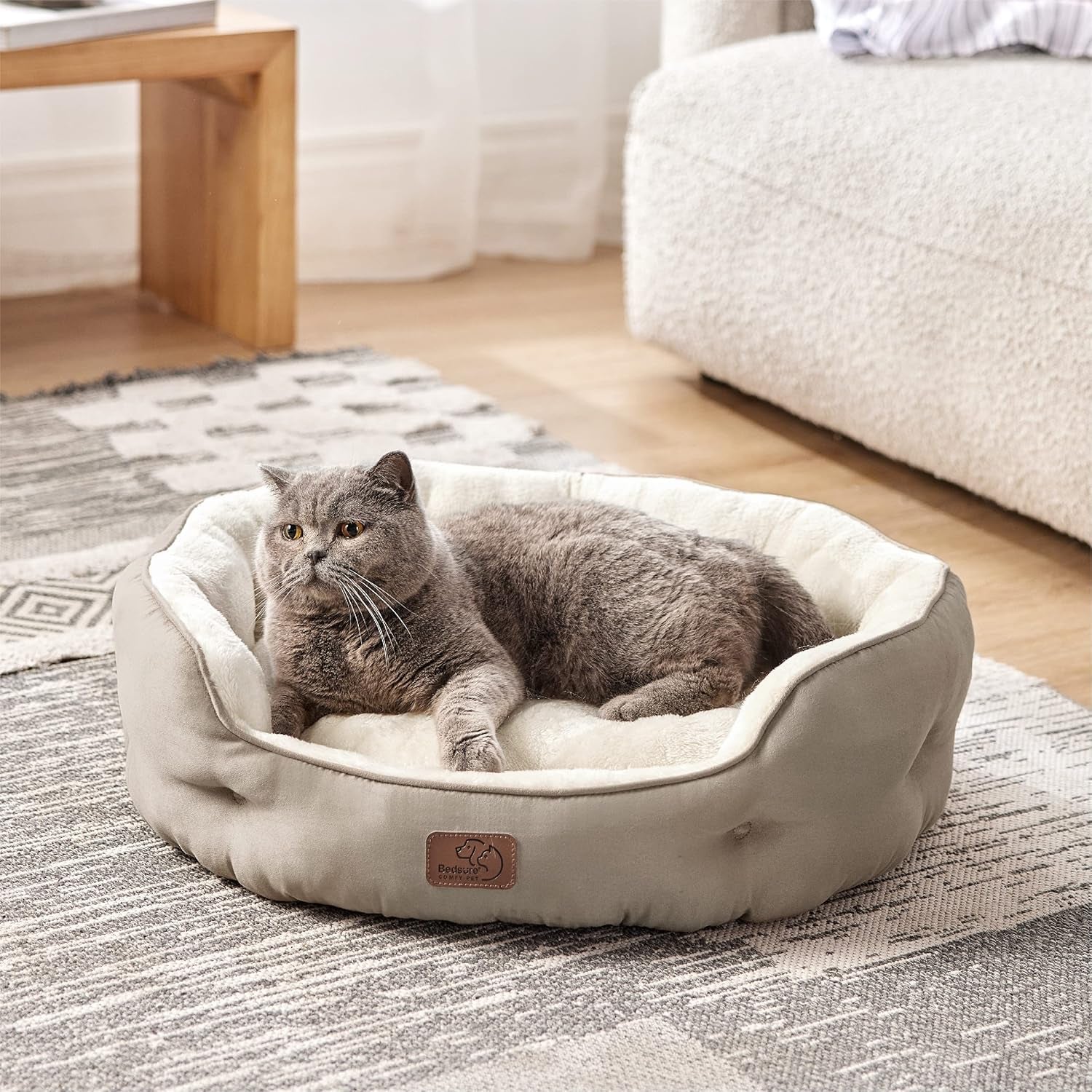 Senge og sofaer, tæpper og møbler, kæledyr, katte, senge til katte, katte - senge, madrasser