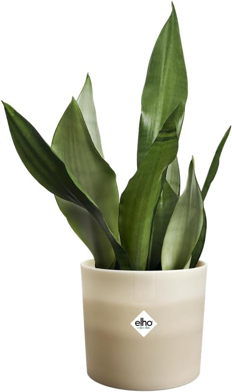 Rund potte elho Farvegradient 18cm - Indendørs urtepotter - 100% genbrugsplast - Ø 18,2 x H 16,8 - Beige/Beige Sandsten