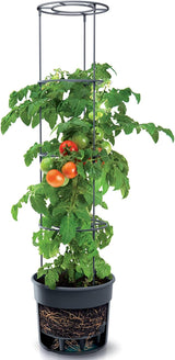 Prosperplast tomatkimplantepotter med espalier – Robust plastikpotte | Antracit | Vejr- og UV-bestandig | 29,5 x 115,2 cm | Ideel til haven og terrassen