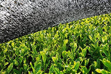 BIO Matcha pulver 100 g I Ingen tilsætningsstoffer - 100% naturlig I Premium japansk Matcha te I Grøn te pulver fra