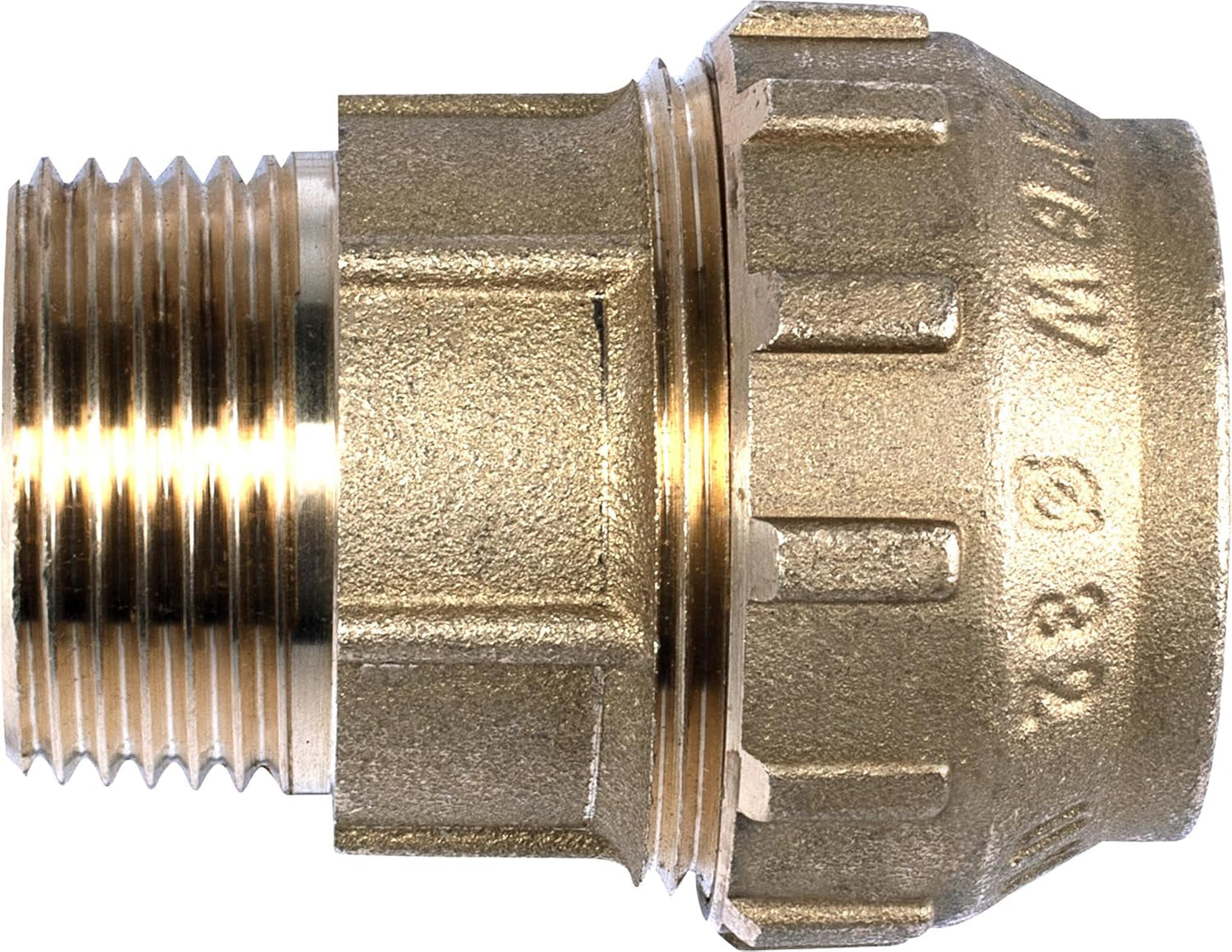 Cornat kompressionsfitting - udvendigt gevind Ø 32 mm x 1 tomme - messing - med et udvendigt gevind - PE-HD rørtilslutning / T617532