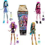 Monster High Buried Secrets Dolls & Accessories, Hyggeligt Creepover-tema med Mystery Doll og 5 uoprettelige overraskelser (tallene kan variere), HYV64 Naty Shop Dolls standardtitel