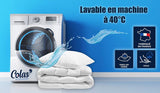 Pude, Bomuld, Percale, 50 X 70 Cm, Fin finish, Komfort, Percale, 100% Bomuld, Høj kvalitet, Blød, Made in France, Hvid 73130220 Naty Shop Standard Puder