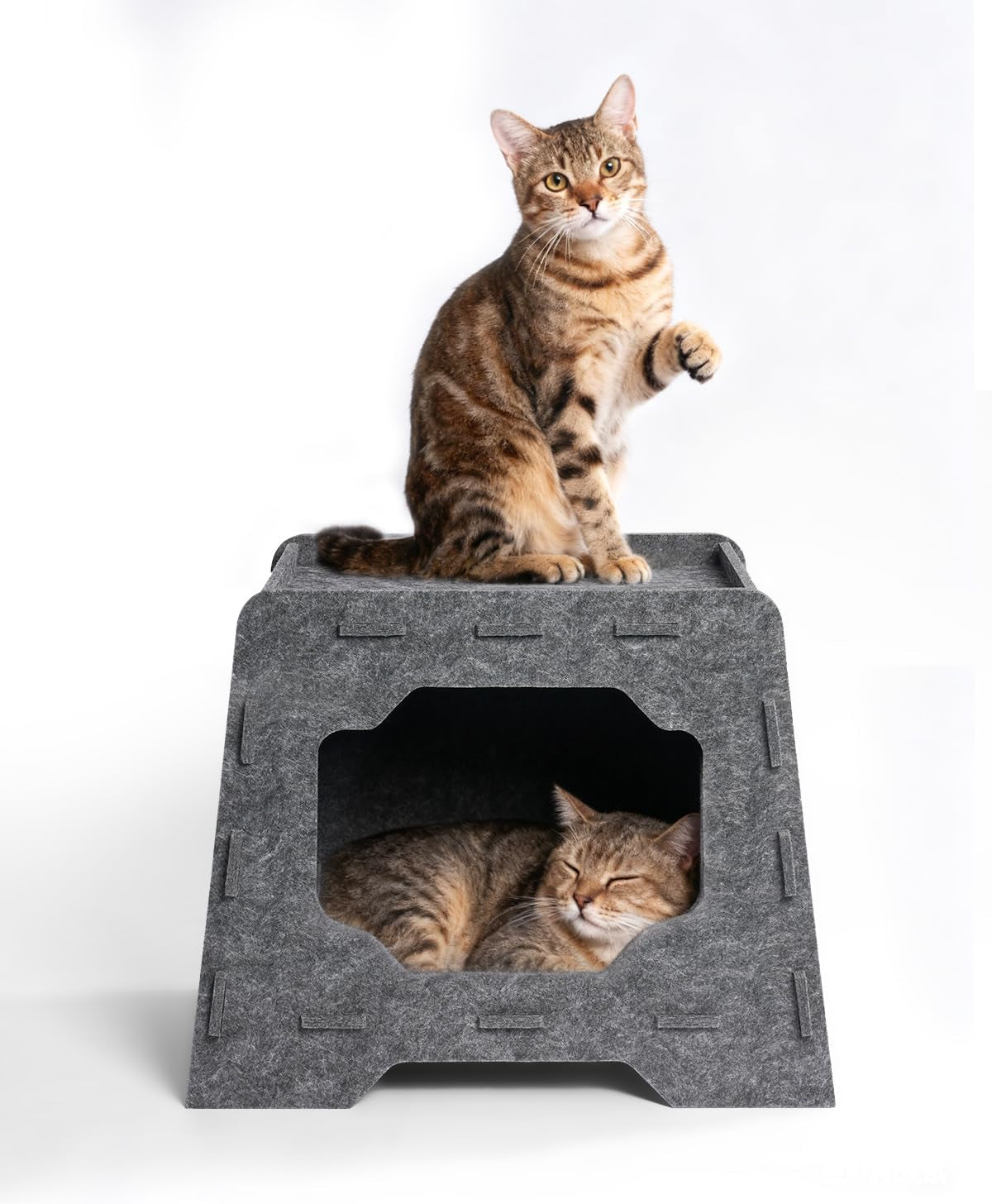 Tæpper og møbler, kæledyr, huler og huse, katte, senge til katte, katte - senge, madrasser