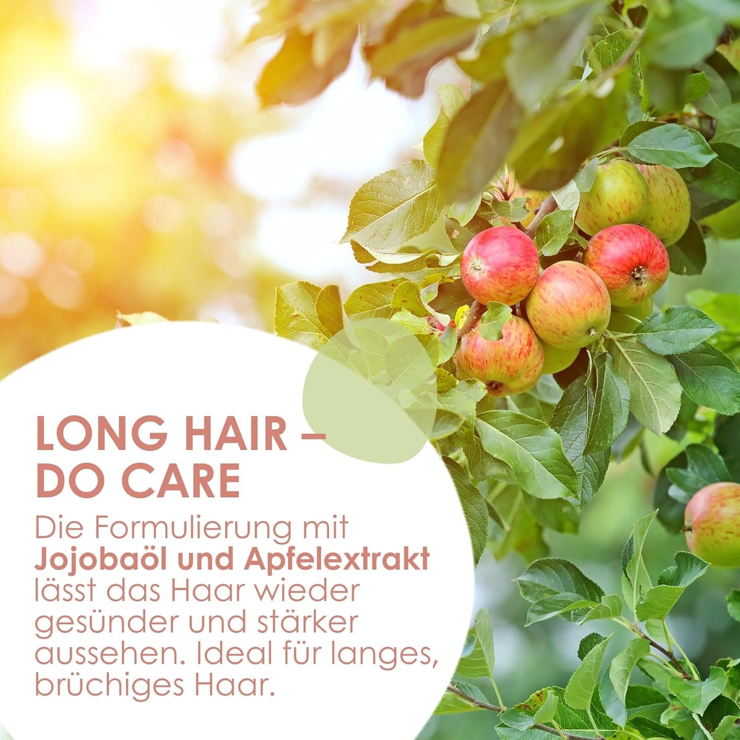 Jean & Len Care Shampoo Jojoba & Apple, nærer langt og skrøbeligt hår, 300 ml Brusebad og bad Jean & Len