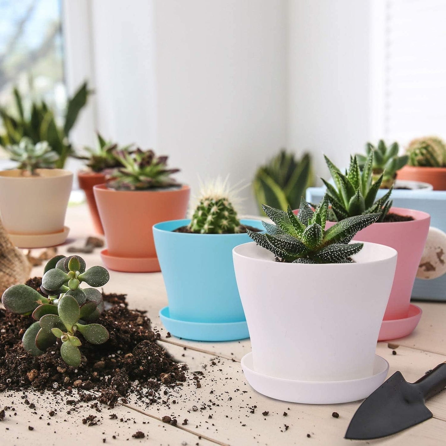 20 cm store plastik urtepotter med underkopper, hvide selvvandende urtepotter med underkopper, plastik frøplante potter, fortykkede potter til indendørs og udendørs plantning (6 stykker)