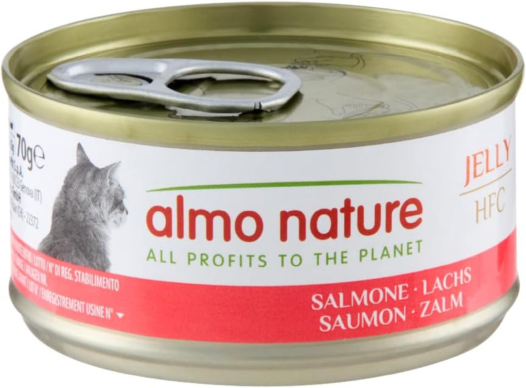 Almo Nature HFC Jelly - Nassfutter für ausgewachsene Katzen - Lachs - Human Grade, Glutenfri & Monoprotein - 6 x 70g