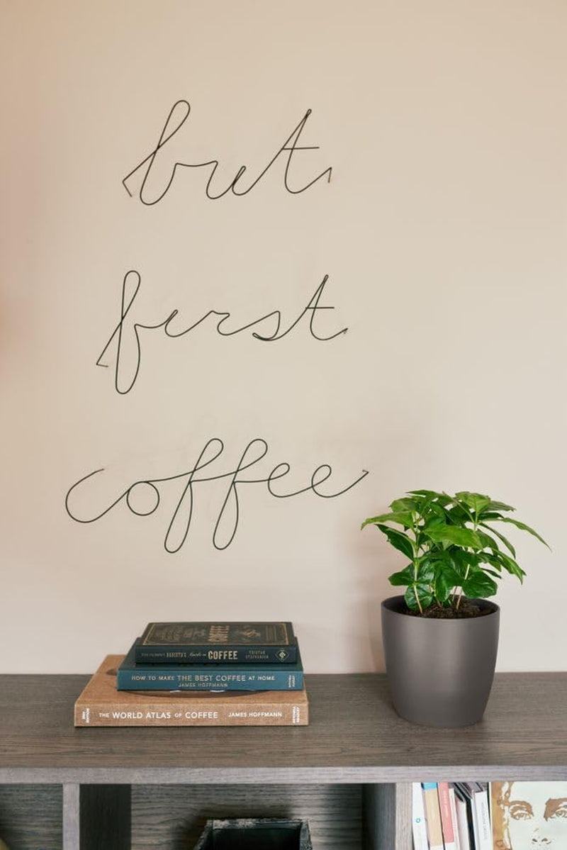 elho The Coffee Collection, rund indendørs kande, 18 cm, lavet af kaffegrums og genbrugsplastik - brun/espresso brun