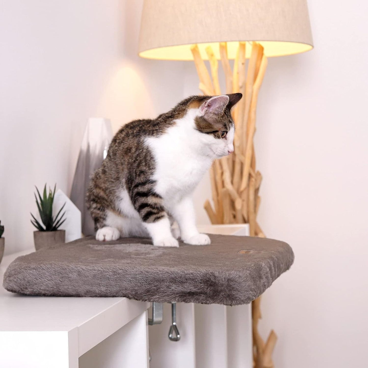 Tæpper og møbler, vinduessæder, kæledyr, katte, senge til katte, katte - senge, madrasser