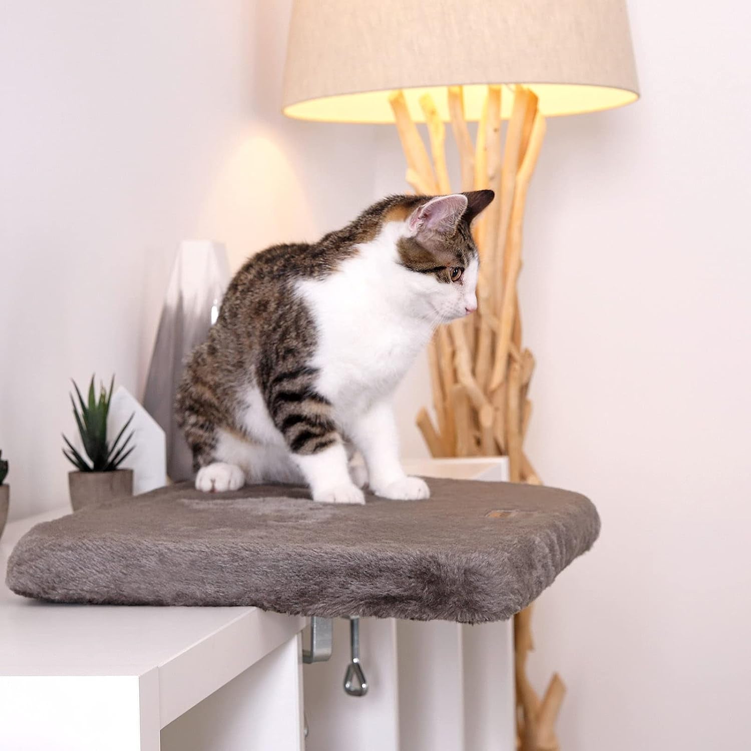 Tæpper og møbler, vinduessæder, kæledyr, katte, senge til katte, katte - senge, madrasser