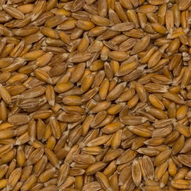 Wholefood Jord økologiske speltkorn – 3 kg | Ikke-GMO | Vegansk | Rig på fibre | Certificeret økologisk