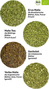 Mate te smagesæt ● 4 varianter af økologisk Mate te ● 100 g hver Erva Mate + Yerba Mate + Green Mate te + Roasted Mate te