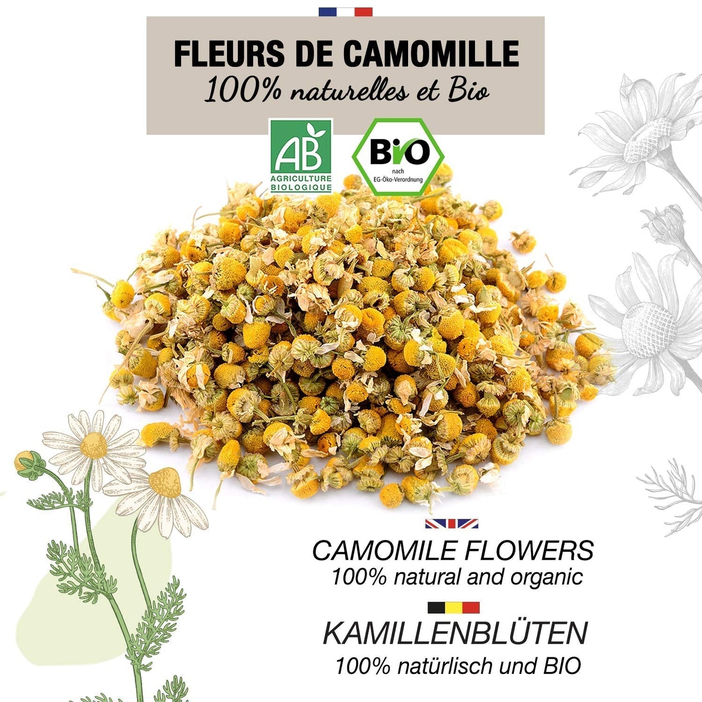 ORIGEENS Økologisk kamilleblomstte fra Europa, 100 g | Løsbladste, økologisk te til søvn og fordøjelse | Tysk kamille | Certificeret og pakket i Tyskland