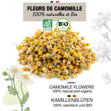 ORIGEENS Økologisk kamilleblomstte fra Europa, 100 g | Løsbladste, økologisk te til søvn og fordøjelse | Tysk kamille | Certificeret og pakket i Tyskland