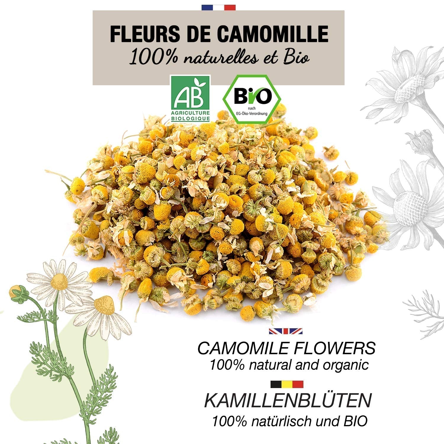 ORIGEENS Økologisk kamilleblomstte fra Europa, 100 g | Løsbladste, økologisk te til søvn og fordøjelse | Tysk kamille | Certificeret og pakket i Tyskland