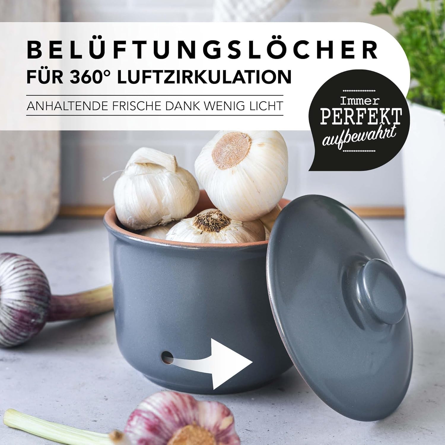 Römertopf hvidløgsgryde frisk gryde lavet af naturligt ler for en lang holdbarhed af fødevarer såsom hvidløg Ø 12,5 cm hvide Fødevarekasser Naty Shop