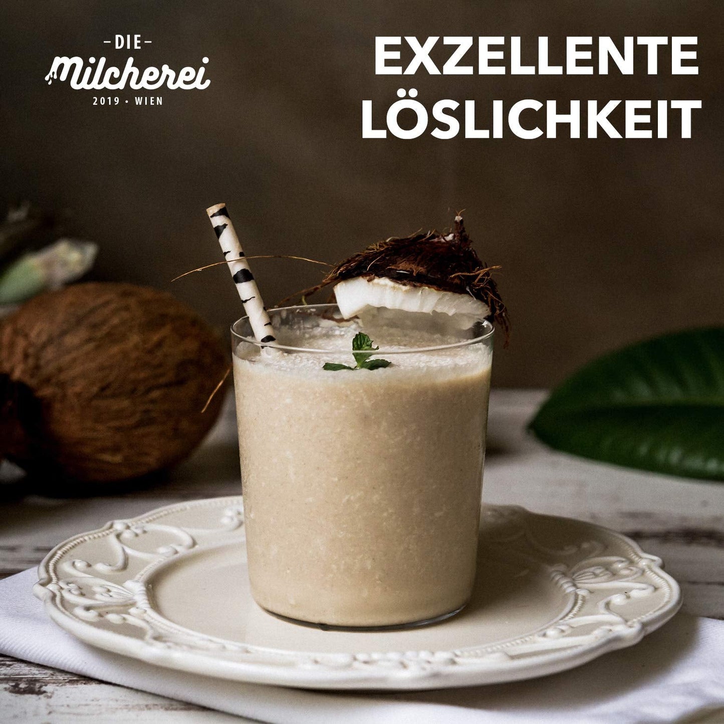 Kokos-Nuss-Milch-Pulver MILCHEREI Kokosshake Curry Thai 800 g