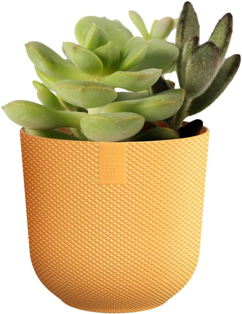 elho Jazz Round Mini 7cm - Indendørs urtepotter - 100% genbrugsplast - Ø 7 x H 6,5 cm - Gul/ravgul