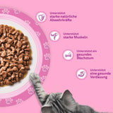 Whiskas Junior Classic Selection våd kattefoder i sauce, 48 poser, 12 x 85 g (pakke med 4) - Højkvalitets vådfoder til katte i vækst, 2 til 12 måneder