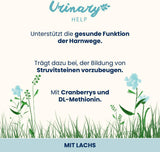 almo nature Funktionel urinvejshjælp - Vådfoder til voksne katte med laks - Understøtter urinvejens sundhed - 30 poser á 70 g hver