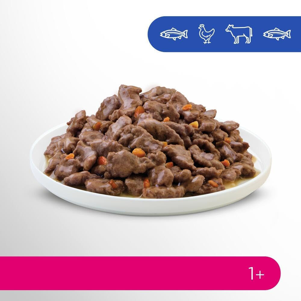 Perfect Fit Adult 1+ vådfoderudvalg med laks, dybhavsfisk, oksekød og kylling, 48 poser, 12x85g (pakke med 4) - Premium vådfoder til voksne katte fra 1 år