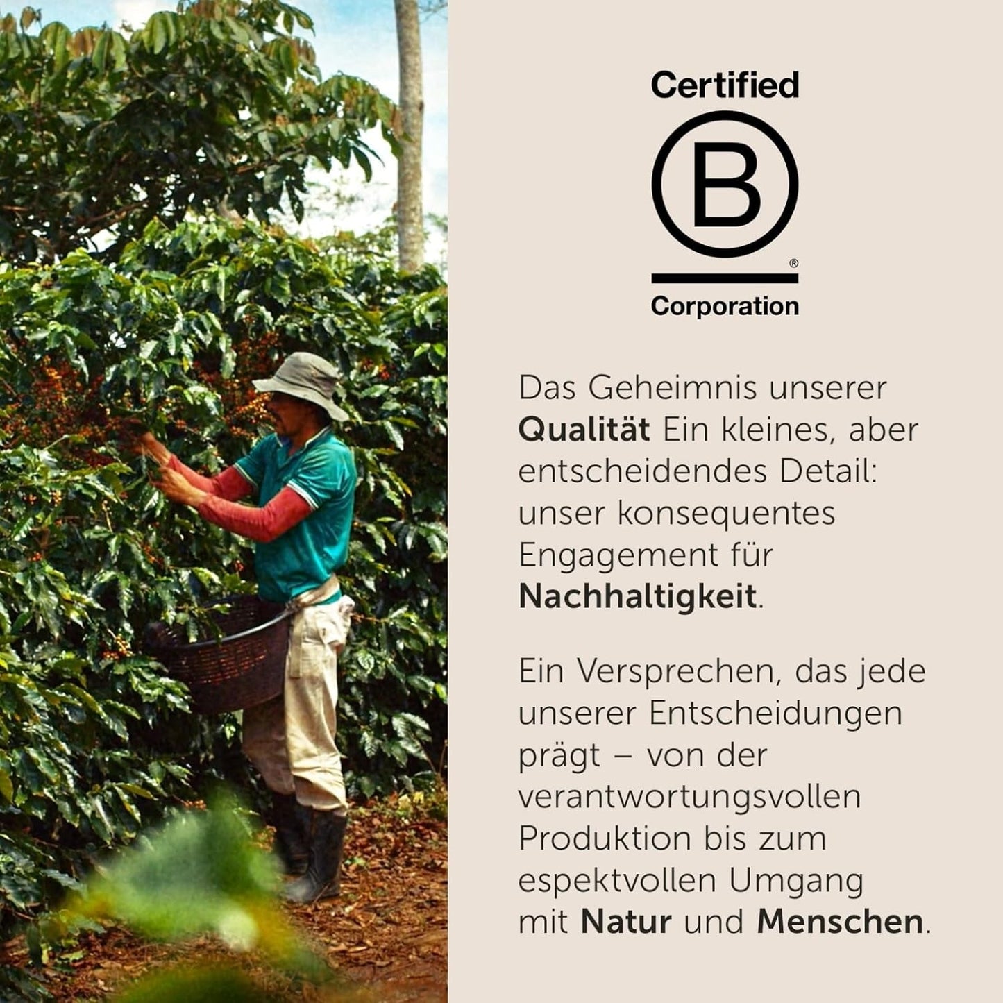 illy, Kaffeebohnen Arabica Selection Costa Rica, 100% Arabica med karamel-, Schokoladen- og Vanillenoten, süßer Gesmack, 1 dosis med 250g