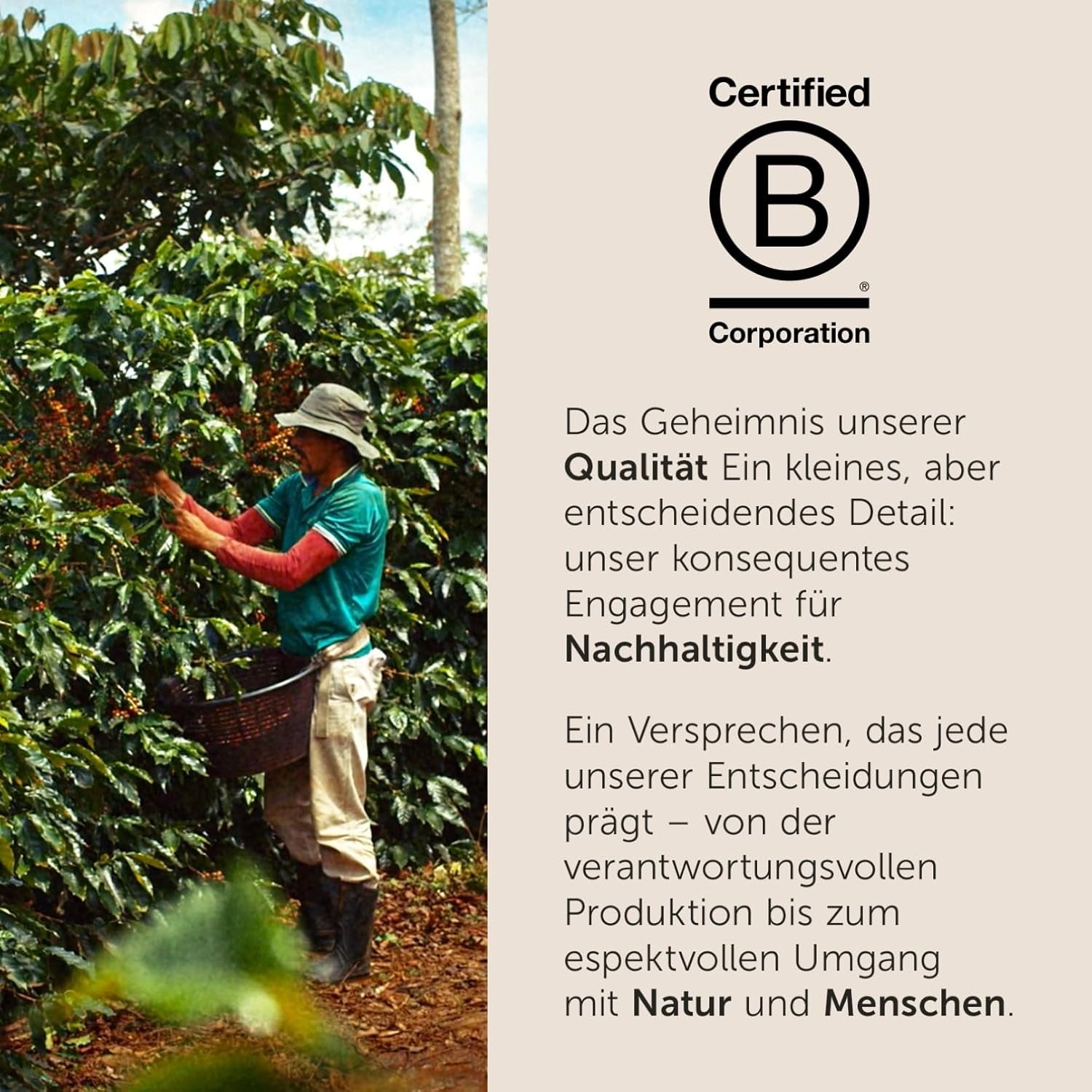 illy, Kaffeebohnen Arabica Selection Costa Rica, 100% Arabica med karamel-, Schokoladen- og Vanillenoten, süßer Gesmack, 1 dosis med 250g