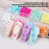 3D Flower Nail Charms, 12 Grids Akryl Resin Blomster og Guld Sølv Perler Neglesten, Flower Gel negle, Flower Negle dekorationer til kvinder og piger, DIY manicure tilbehør