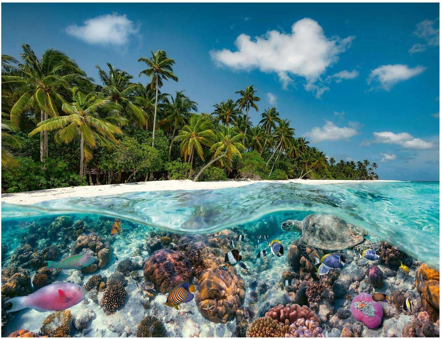 Ravensburger Puzzle 17441 A Dive in the Maldives - 2000 brikker for voksne og børn på 14 år og derover Puzzle Naty Shop