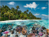 Ravensburger Puzzle 17441 A Dive in the Maldives - 2000 brikker for voksne og børn på 14 år og derover Puzzle Naty Shop
