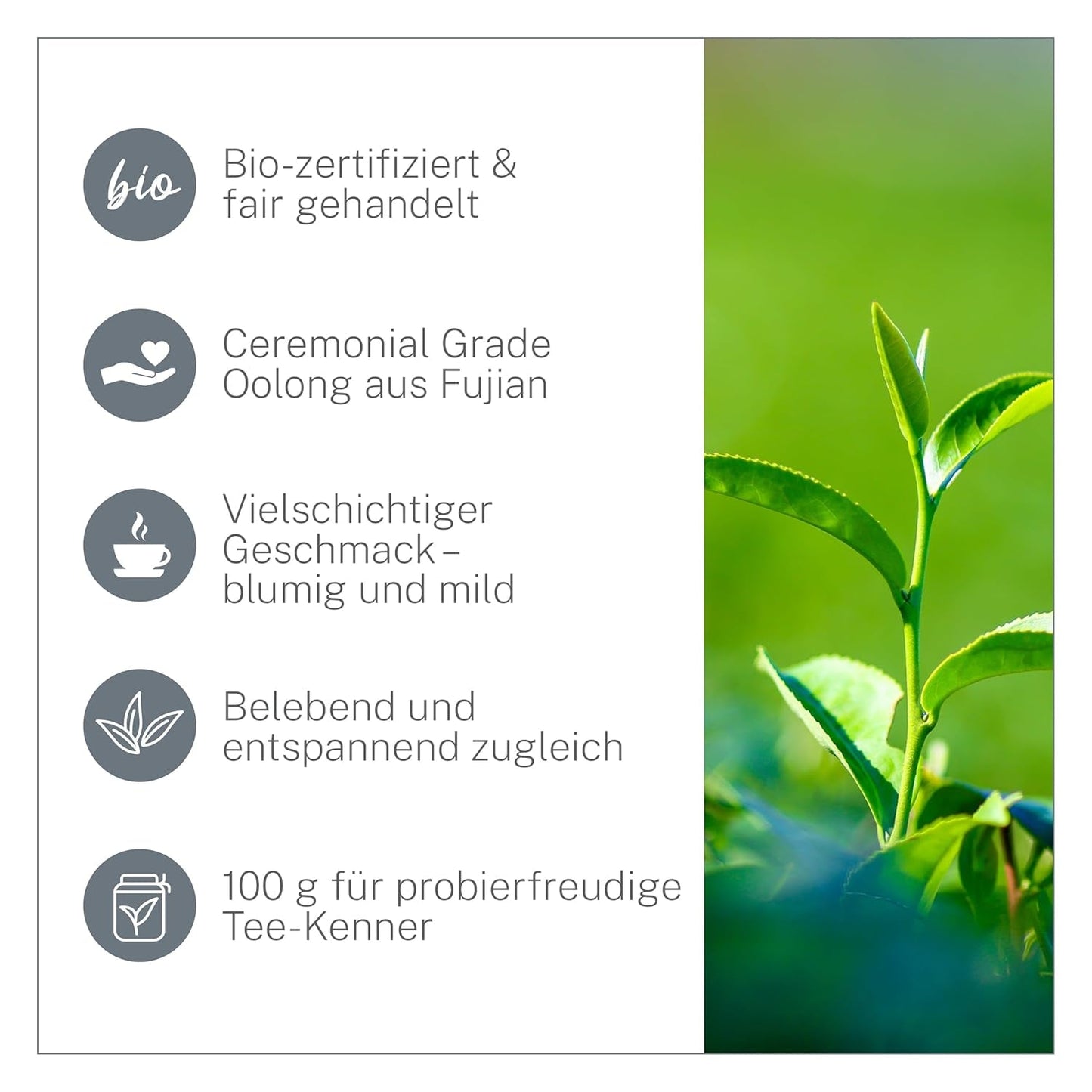 Ti Guan Yin Bio Oolong Tea 100g - Økologisk Oolong te af høj kvalitet fra Kina - Wu Long (ceremoniel kvalitet) - Til teelskere og kendere - Mycupoftea