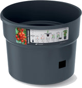 Prosperplast tomatkimplantepotter med espalier – Robust plastikpotte | Antracit | Vejr- og UV-bestandig | 29,5 x 115,2 cm | Ideel til haven og terrassen