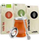 Mate Bio tesæt ● 3 sortimenter af Mate + Dobbeltvægget Mate-krus i rustfrit stål + Bombilla + Brygningsinstruktioner (sort)