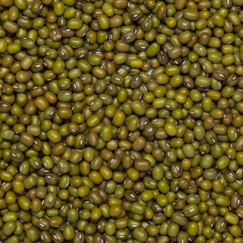 Wholefood Earth Økologiske Mungbønner 2kg | Ikke-GMO | Vegansk | Rig på fibre | Rig på protein | Certificeret økologisk