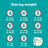 Pampers Baby-Dry bleer, str. 8, 22 stk., 19 kg+