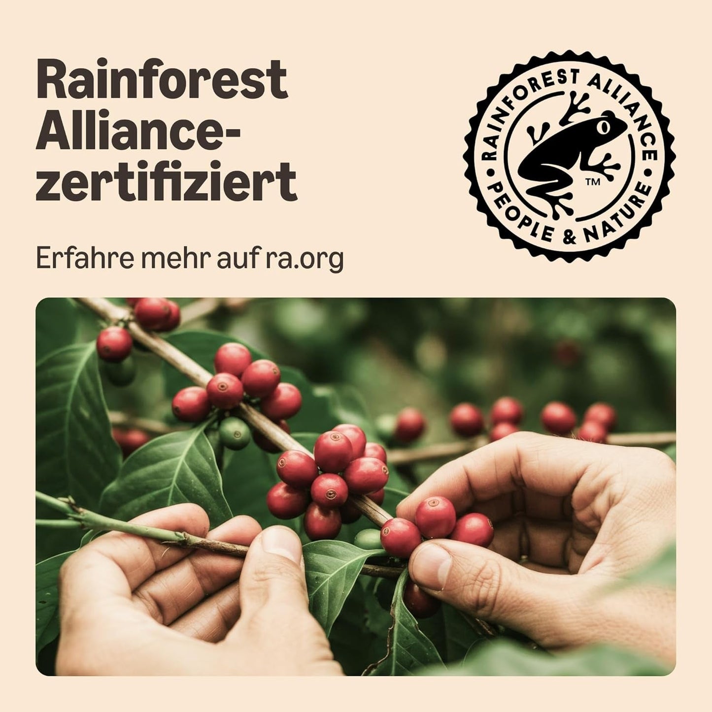 af Amazon Lungo Kaffee-Kunststoffkapseln, Nespresso-kompatibel, 20 Stück, Packung mit 1 – Rainforest Alliance-certificeret