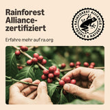 af Amazon Lungo Kaffee-Kunststoffkapseln, Nespresso-kompatibel, 20 Stück, Packung mit 1 – Rainforest Alliance-certificeret
