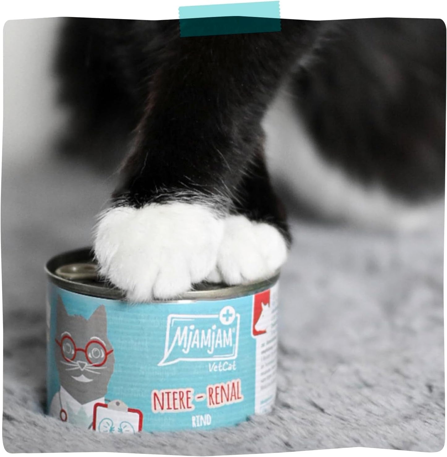 MjAMjAM VetCat - Premium våd kattefoder - Diæt - Nyre - Kylling, 6 stk. (6 x 200 g), kornfri