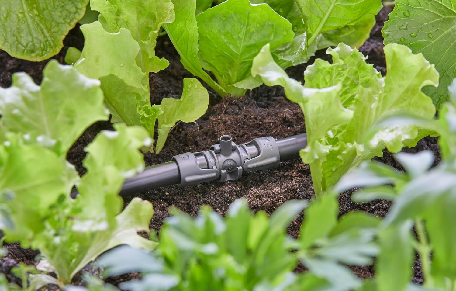 Gardena Micro-Drip-System T-stykke til sprøjtedyser: Forbindelse mellem 13 mm rør og en sprøjtedyse, automatisk plantevanding, hurtig og nem tilslutningsteknologi, genanvendelig (13206-20)