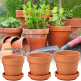 Hollyone 8-delt lille terrakotta-plantekassesæt, 8x8 cm runde lerpotter med tallerken og drænhul, små plantekasser med bakke, terrakotta-sukkulentpotter til indendørs planter, keramiske plantekasser